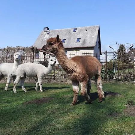 One-bedroom 別荘 Scharfenstein